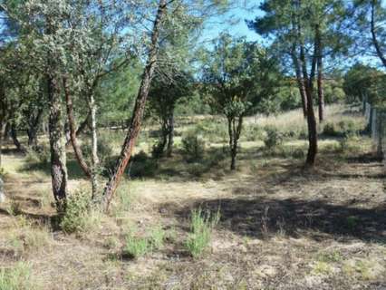 Parcela rústica en venta en Marugán