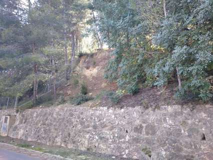 Parcela rústica en venta en Godelleta