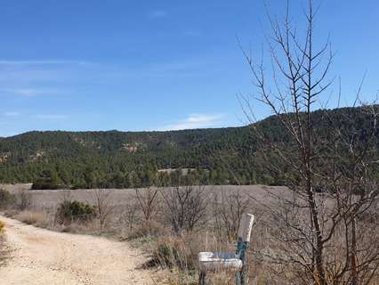 Parcela rústica en venta en Requena