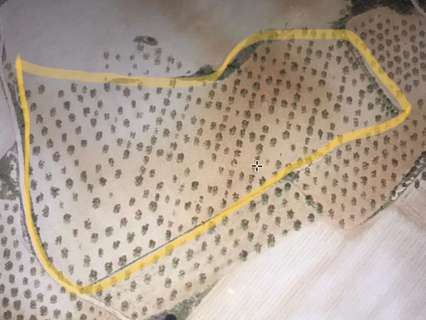 Parcela rústica en venta en Requena