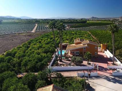 Finca en venta en Orihuela