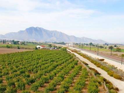 Finca en venta en Callosa de Segura zona Callosa De Segura