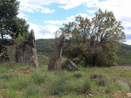 Parcela rústica en venta en Tremp