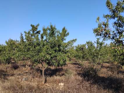 Parcela rústica en venta en Mont-Roig del Camp