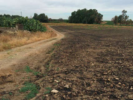 Parcela rústica en venta en Alcalá del Río