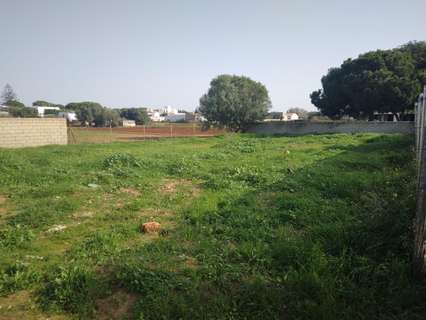 Parcela rústica en venta en Chiclana de la Frontera