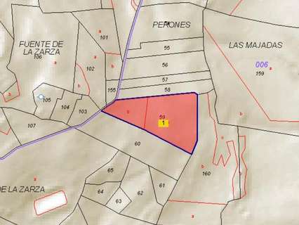 Parcela rústica en venta en Sorihuela del Guadalimar