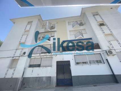 Piso en venta en Linares rebajado