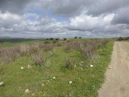 Parcela rústica en venta en Arcos de la Frontera
