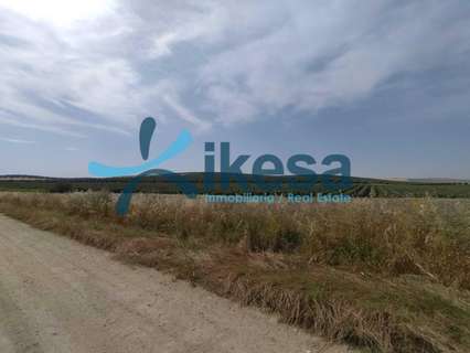 Parcela rústica en venta en El Carpio