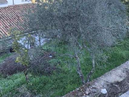 Parcela rústica en venta en El Bosque