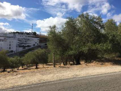 Parcela rústica en venta en Arcos de la Frontera