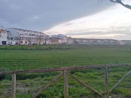 Parcela rústica en venta en Villamartín