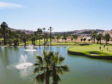 Parcela urbana consolidada en venta en Rojales zona Centro