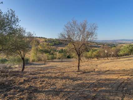 Parcela rústica en venta en Alhaurín de la Torre