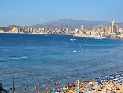 Apartamento en alquiler en Benidorm