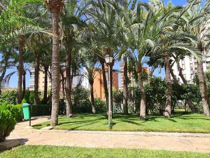 Estudio en venta en Benidorm