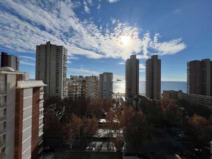 Apartamento en alquiler en Benidorm