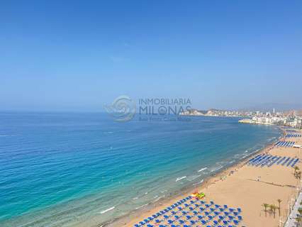 Estudio en venta en Benidorm