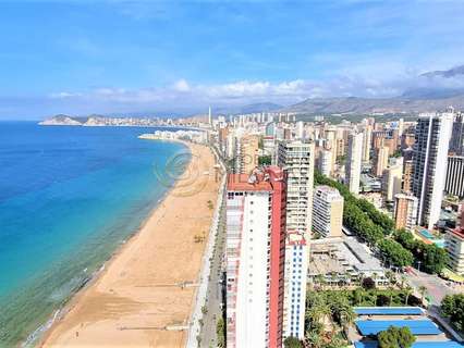 Apartamento en alquiler en Benidorm