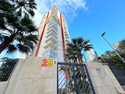 Apartamento en alquiler en Benidorm