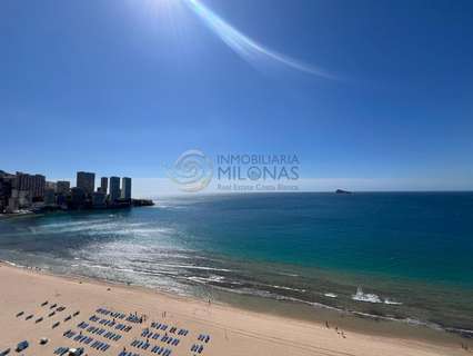 Estudio en venta en Benidorm rebajado