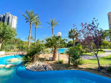 Piso en alquiler en Benidorm