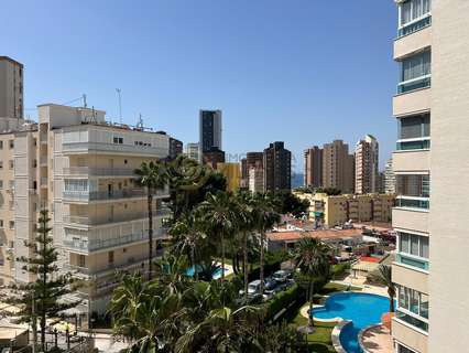 Estudio en venta en Benidorm