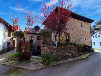 Parcela rústica en venta en Peñamellera Baja