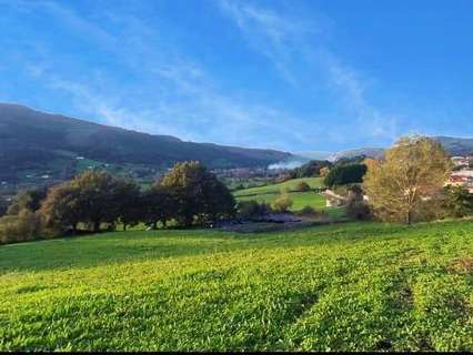 Parcela rústica en venta en Santiurde de Toranzo