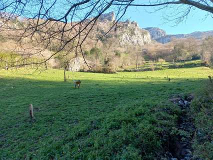 Casa en venta en Miera rebajada