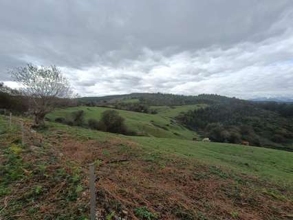 Parcela rústica en venta en Ruiloba