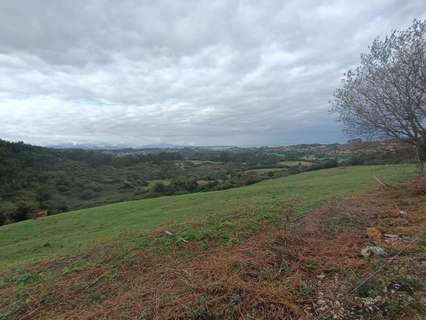 Parcela rústica en venta en Ruiloba