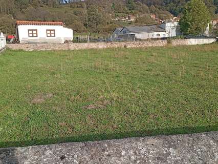 Parcela rústica en venta en Arenas de Iguña