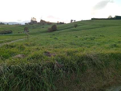 Parcela rústica en venta en Polanco
