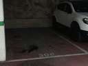 Plaza de parking en alquiler en Sabadell