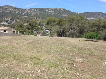 Parcela rústica en venta en Canyelles