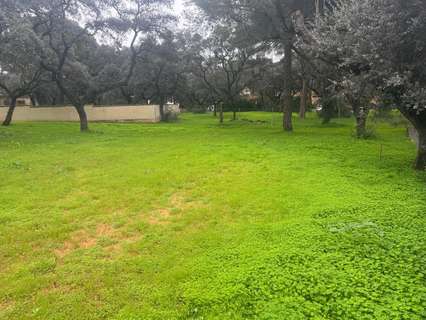 Parcela urbana en venta en Bollullos de la Mitación