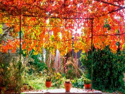 Cortijo en venta en Granada