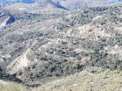 Parcela rústica en venta en Granada