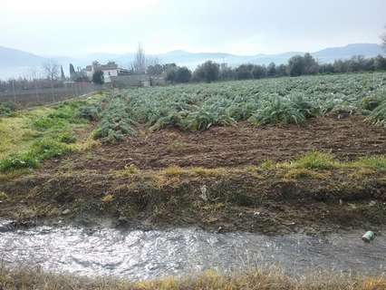 Parcela rústica en venta en Granada