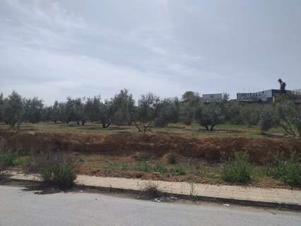 Parcela industrial en venta en Láchar