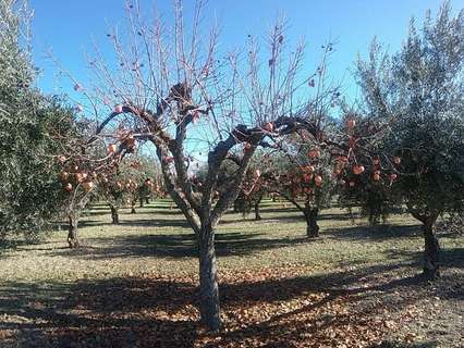 Casa rústica en venta en La Zubia