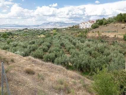 Parcela rústica en venta en Otura