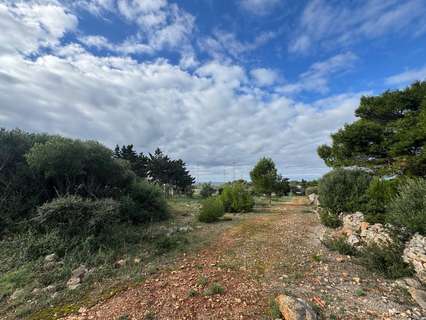 Parcela rústica en venta en Sant Lluís
