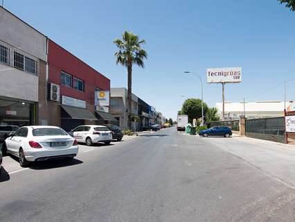 Oficina en alquiler en Albolote