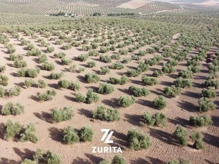 Parcela rústica en venta en Montoro