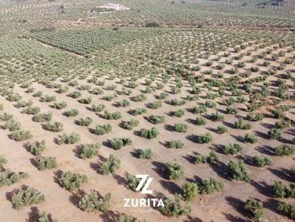 Parcela rústica en venta en Montoro