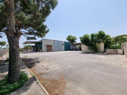 Nave industrial en alquiler en Elche/Elx