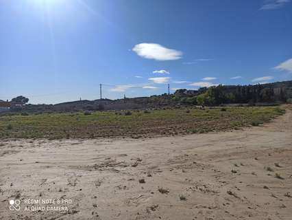 Parcela rústica en alquiler en Elche/Elx